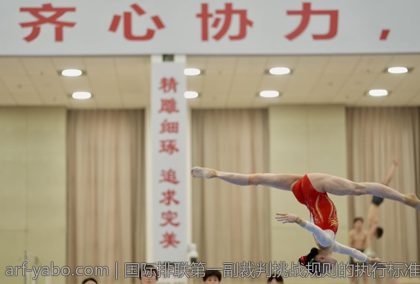 国际排联第一副裁判挑战规则的执行标准与流程分析