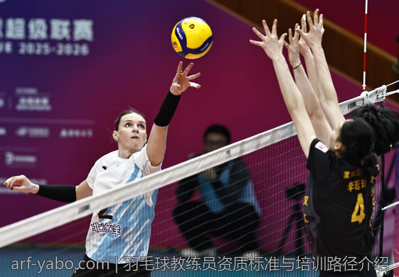 羽毛球教练员资质标准与培训路径介绍