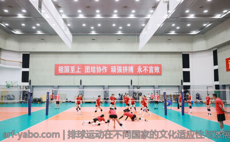 排球运动在不同国家的文化适应性与发展经验
